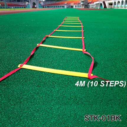 Agility Ladder With Cone Hurdle
