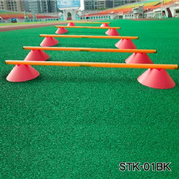 Agility Ladder With Cone Hurdle